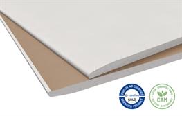 Lastra GKB 12,5x1200x2000 mm